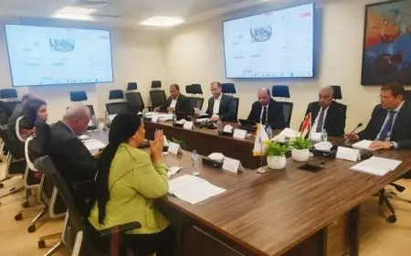 مجموعة من القرارات التنظيمية الجديدة وتحديث البنية الرقمية لنظام التأمين الصحي الشامل