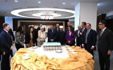 “تورتة تحمل صورتها.. الحكومة تكرم وزيرة البيئة لاختيارها الأمين التنفيذي لاتفاقية الأمم المتحدة”