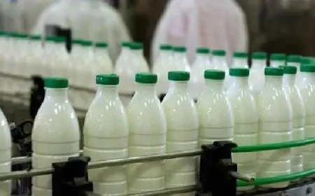 رئيس الوزراء يرد على اتهامات دمج الألبان المستوردة بمواد إضافية