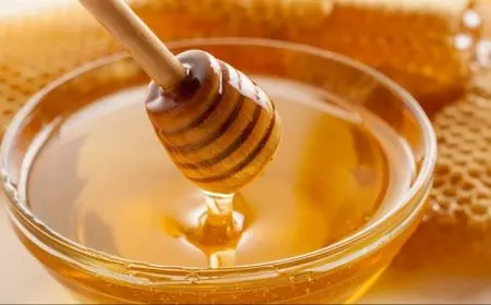 الحكومة تكشف حقيقة انتشار «عسل مغشوش» في الأسواق المصرية