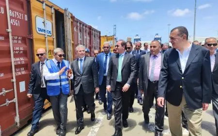 وزير المالية: نسعى لتقليل زمن وتكلفة الإفراج الجمركي