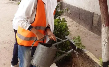 محافظ أسوان يوجه باستمرار زراعة أشجار الظل في المدارس ومراكز الشباب لمواجهة ارتفاع درجات الحرارة