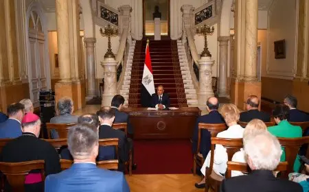 وزير الخارجية والهجرة يلتقي بسفراء الدول الأوروبية المعتمدين في القاهرة