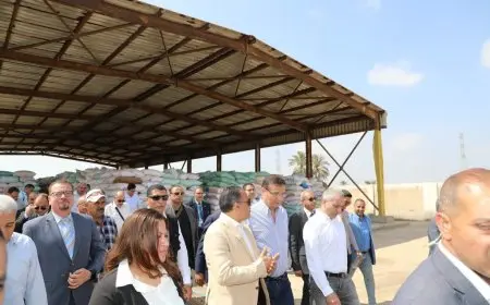 وزير الزراعة: كمية القمح الموردة تخطت 3.7 مليون طن حتى الآن