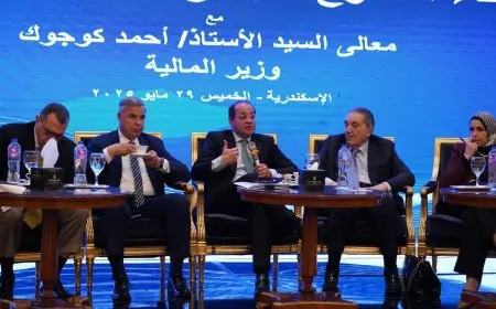 وزير المالية: زيادة الإيرادات الضريبية بنسبة 38٪ في العشرة أشهر الأخيرة دون تحميل المواطنين أعباء إضافية