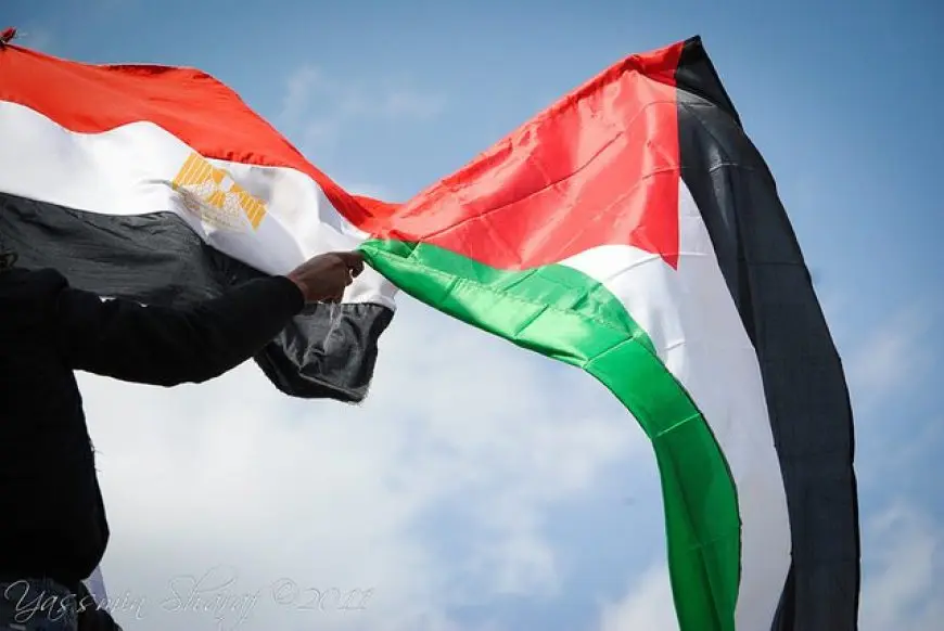 ممثلة مصر في محكمة العدل: أكثر من 40 دولة تدعم حق الفلسطينيين في تقرير المصير