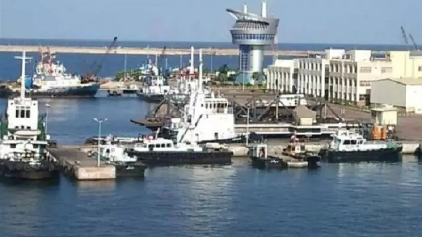 ميناء دمياط: استقبال 33 سفينة خلال 24 ساعة