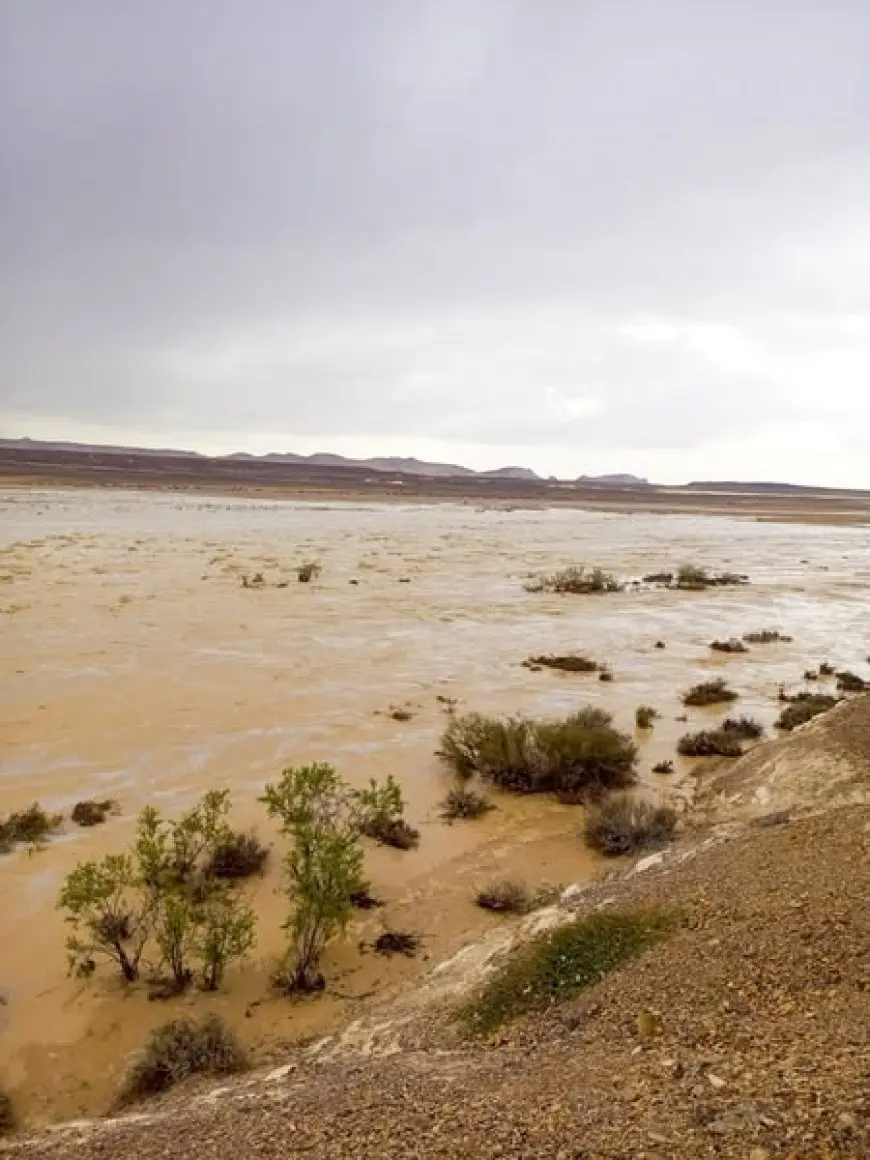 وزير الري يراقب حالة الأمطار والسيول في سيناء خلال الأيام الماضية
