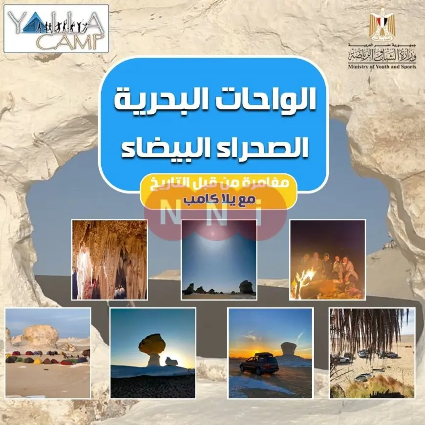 الشباب والرياضة تطلق مغامرة “يلا كامب” في الواحات البحرية والصحراء البيضاء