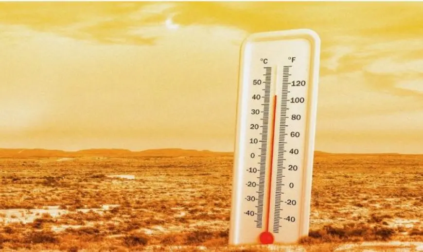 ضباب كثيف وارتفاع في درجات الحرارة.. الأرصاد الجوية تُعلن حالة الطقس اليوم