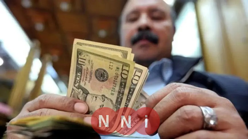 البنك المركزي: تحويلات المصريين بالخارج تصل إلى 32.6 مليار دولار خلال عام