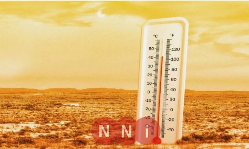 الأرصاد تحذر من زيادة نشاط الرياح المثيرة للرمال غدًا وارتفاع تدريجي في درجات الحرارة اعتبارًا من يوم الجمعة