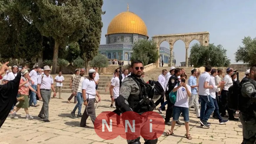 ضرائب مرتفعة.. تفاصيل خطة تل أبيب لطرد الفلسطينيين