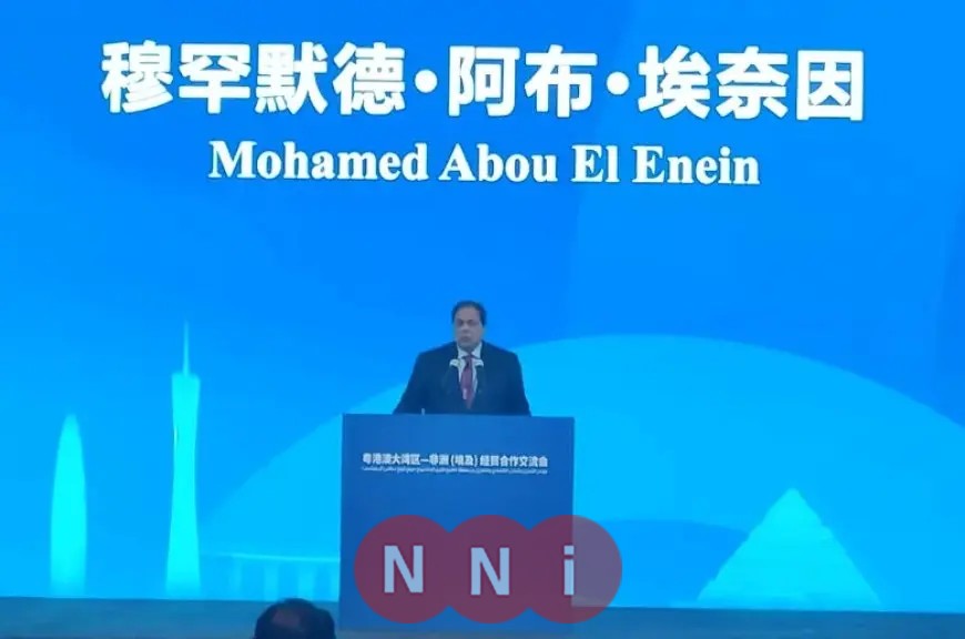 أبو العينين يقدم فرص الاستثمار في مصر لرجال الأعمال الصينيين