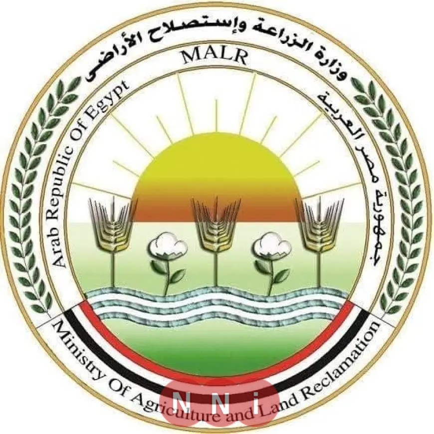 وزير الزراعة يوضح مساعي حماية الثروة الداجنة وتعزيز الاستقرار الوبائي في المحافظات