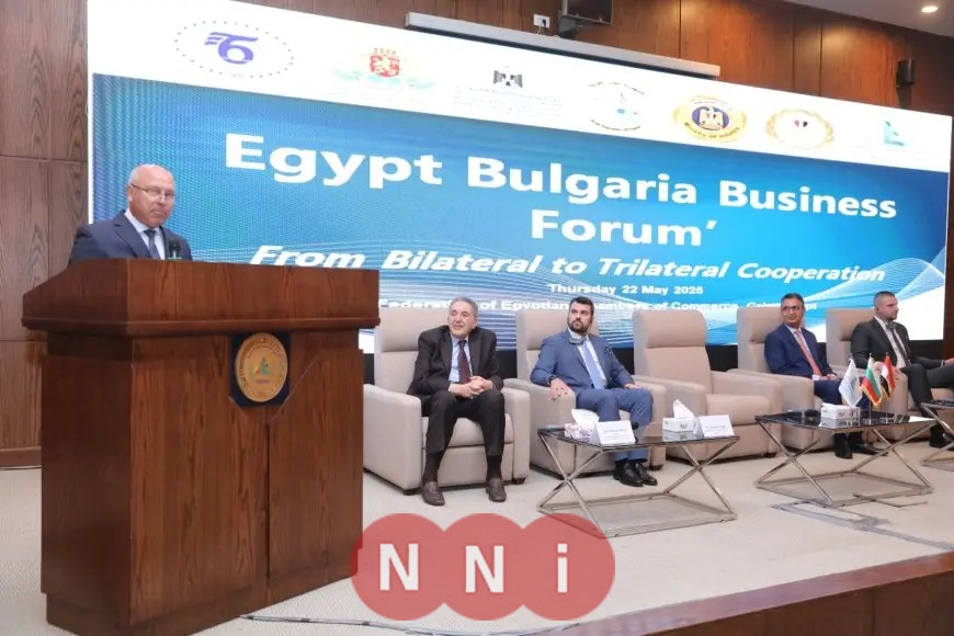 الوزير كامل يعلن عن تراخيص جديدة لإنتاج البليت وخطة دعم لتعزيز صناعة الحديد الوطنية