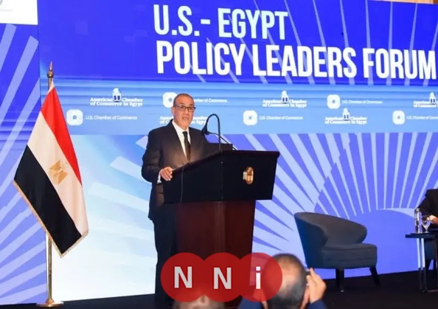 وزير الخارجية يعلن استعداد الحكومة المصرية للتعاون مع الشركات الأمريكية