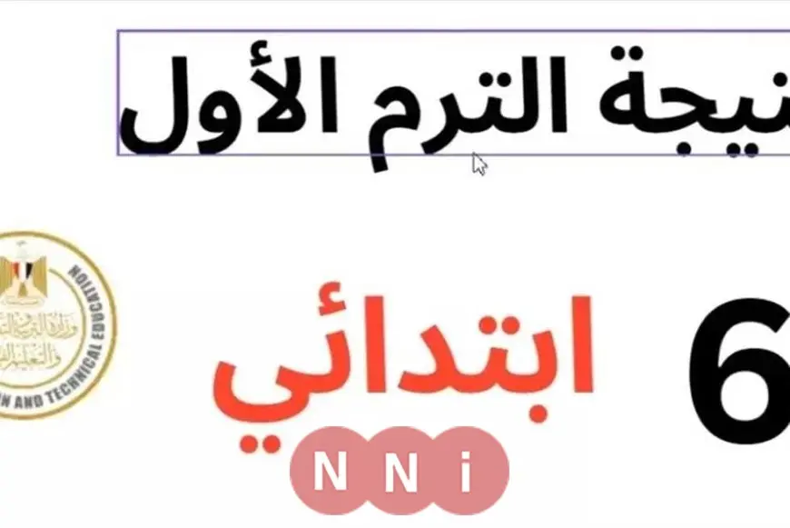 نتيجة الصف السادس الابتدائي الترم الثاني 2025 محافظة جنوب سيناء برقم الجلوس والاسم