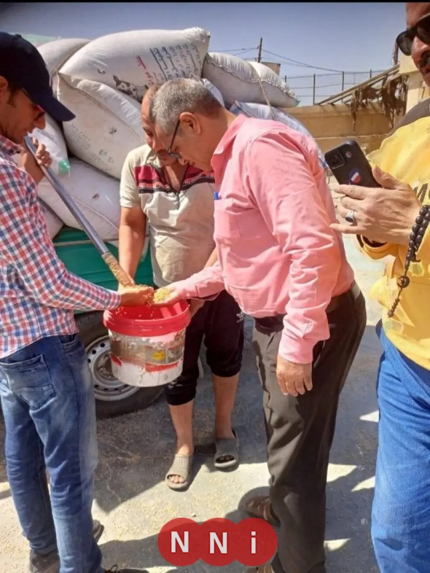 توزيع ٥٧٦٨٣٣ طن من القمح على مواقع التخزين في الشرقية