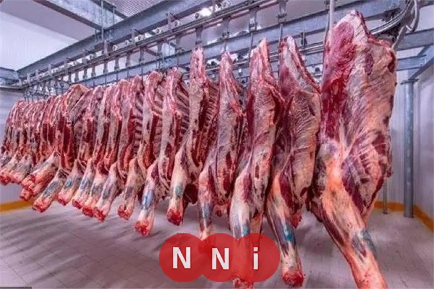 شعبة القصابين تُعلن عن أسعار اللحوم في الأسواق قبيل عيد الأضحى