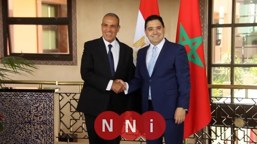 تأسيس لجنة مشتركة للتنسيق والمتابعة بين مصر والمغرب