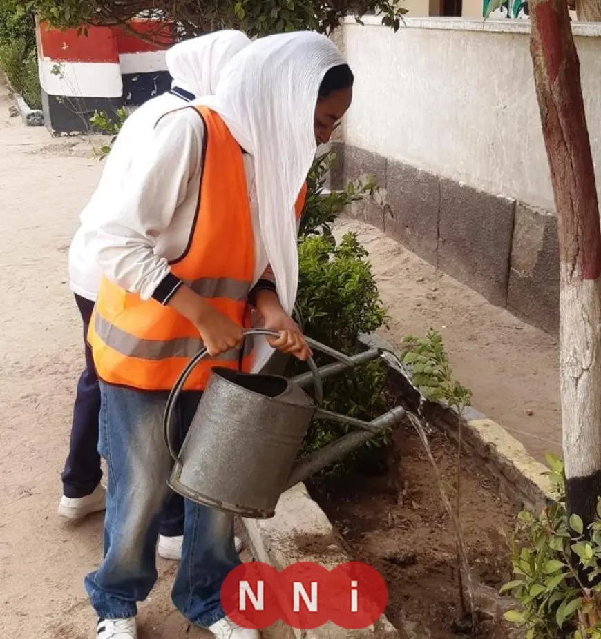 محافظ أسوان يوجه باستمرار زراعة أشجار الظل في المدارس ومراكز الشباب لمواجهة ارتفاع درجات الحرارة