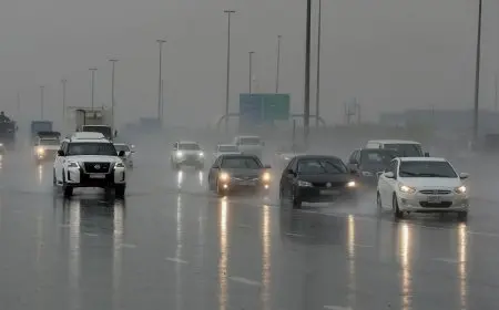 بعد عاصفة الإسكندرية.. الأرصاد تكشف تفاصيل حالة الطقس ودرجات الحرارة اليوم الأحد