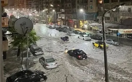 تداعيات العاصفة في الإسكندرية: الحكومة تكشف عن خسائر انهيار الأعمدة والمباني