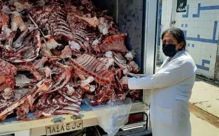 رفع درجة الاستعداد القصوى في جميع المجازر الحكومية لفحص الأضاحي