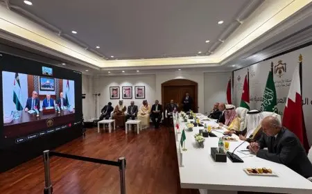 وزير الخارجية يشدد على جهود مصر لحل الأزمة الفلسطينية