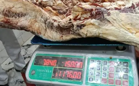 الزراعة: ضبط 107 طن من اللحوم غير الصالحة للاستهلاك الآدمي قبل عيد الأضحى