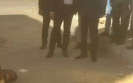 مفاجآت جديدة في قضية التنقيب عن الآثار بقصر ثقافة الأقصر.. السر وراء شركة وهمية