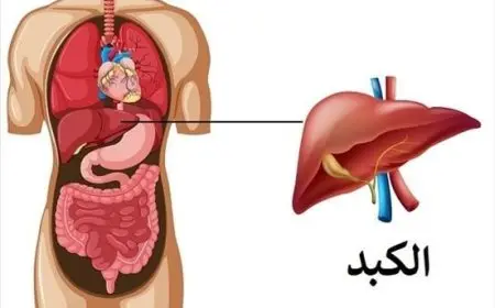 سر زيت الزيتون.. طبيب ينبه من الإفراط في استهلاك اللحوم بعد عيد الأضحى