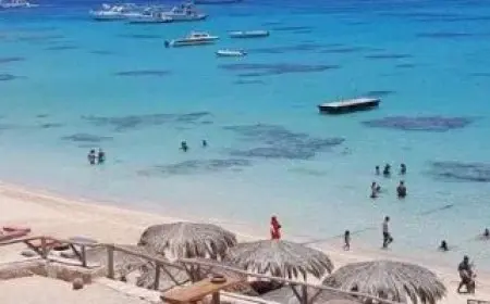 نقابة السياحيين: 76% من السياحة في مصر تعتمد على الشواطئ ونسعى لجذب 30 مليون سائح