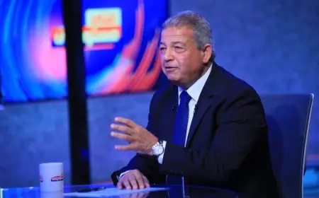 قرارات حديثة من الهيئة العليا للإعلام حول البرامج والصفحات الرياضية.. ألفاظ وشكاوى