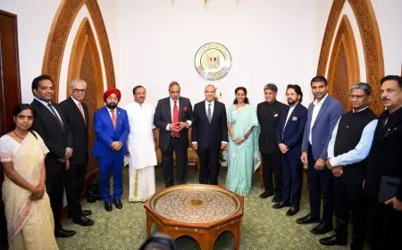 وزير الخارجية يؤكد تضامن مصر مع الهند إثر الهجوم الإرهابي في كشمير