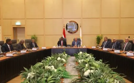 نائب رئيس الوزراء يجتمع مع وزير التنمية العمرانية السوداني لاستكشاف سُبل التعاون في مجالات النقل