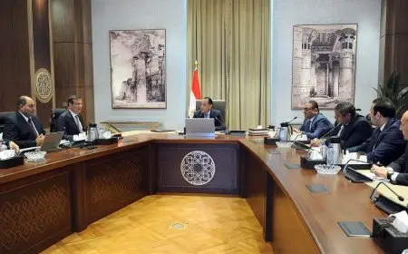 رئيس الوزراء يراقب خطوات تعزيز توافر اللحوم الحمراء في الأسواق