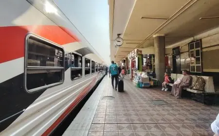 كامل الوزير يتابع سير العمل في مرافق النقل والمواصلات