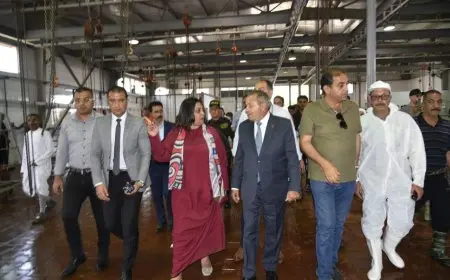 محافظ بورسعيد يتفقد سير العمل وانتظامه في مجزر المحافظة