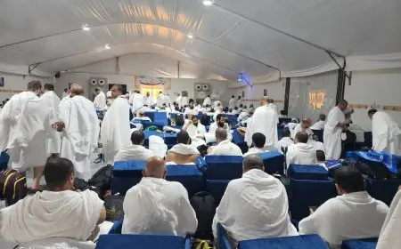 السياحة: انطلاق حجاج السياحة من المزدلفة ونقلهم بواسطة 800 حافلة