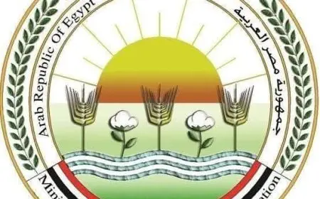 الزراعة: استقبال أكثر من 9800 أضحية في المجازر الحكومية خلال أول أيام العيد