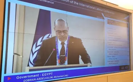 فلسطين تُعطى صفة عضو مراقب في منظمة العمل الدولية