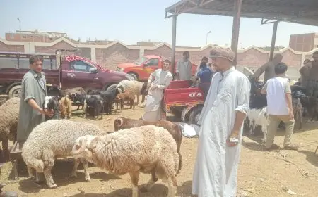 وزير الزراعة يشرف على لجان متابعة شوادر وأماكن بيع الأضاحي ويعزز جهود توعية المواطنين