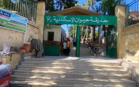 “الزراعة”: حدائق الحيوان الإقليمية وأسماك الزمالك تستقبل أكثر من 38 ألف زائر في أول يومين من العيد