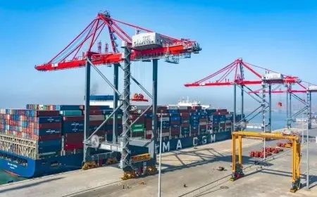 تفاصيل مشروع إنشاء محطة تحيا مصر 2 متعددة الأغراض في ميناء الدخيلة