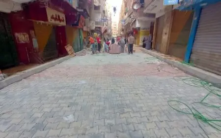 محافظ الجيزة: تنفيذ تطوير شامل لـ 6 شوارع في حي المنيرة الغربية ضمن خطة تحسين البنية التحتية