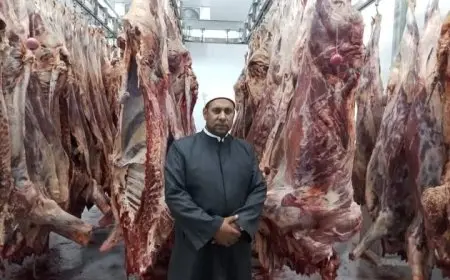 وفاءً بحق المضحين.. وزارة الأوقاف تواصل ذبح صكوك الأضاحي لليوم الثالث على التوالي