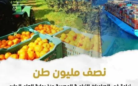 4.8 مليون طن من الصادرات الزراعية المصرية منذ بداية العام