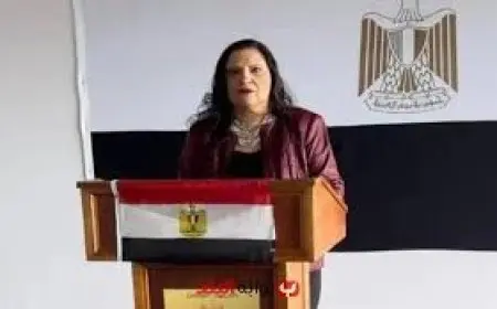 مباحثات لتعزيز التعاون بين مصر وموريشيوس